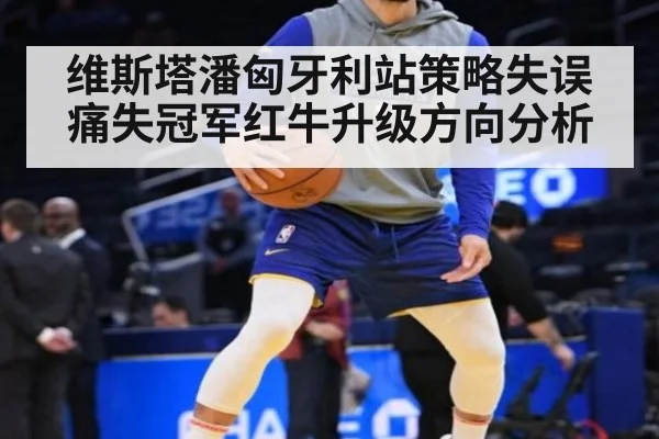 维斯塔潘匈牙利站策略失误痛失冠军红牛升级方向分析